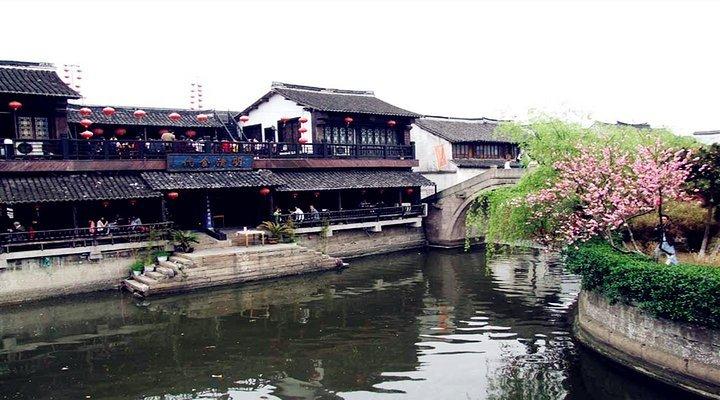 为什么罗峰离开地球没多久,徐欣也选择离开了?只因一点